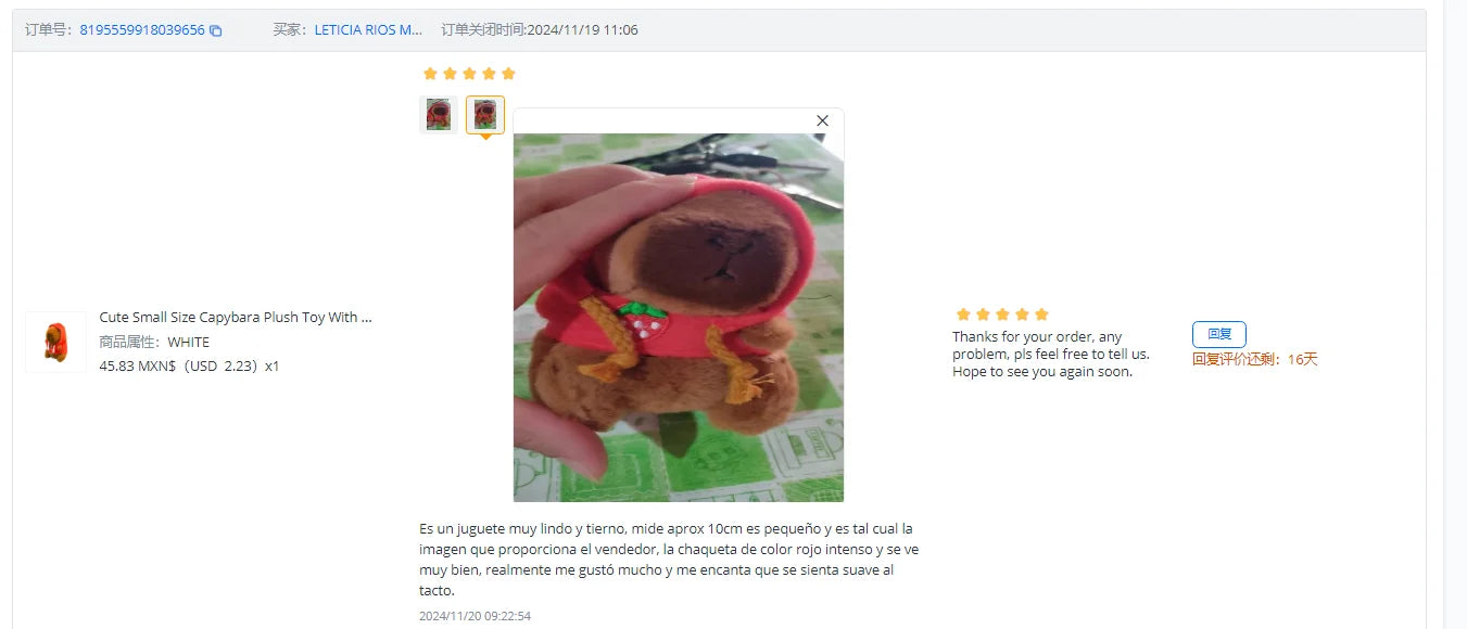 Lindo juguete de peluche de capibara de tamaño pequeño con alas Sudadera con capucha simulación muñeco de capibara juguete esponjoso regalos de cumpleaños