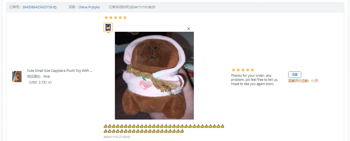 Lindo juguete de peluche de capibara de tamaño pequeño con alas Sudadera con capucha simulación muñeco de capibara juguete esponjoso regalos de cumpleaños