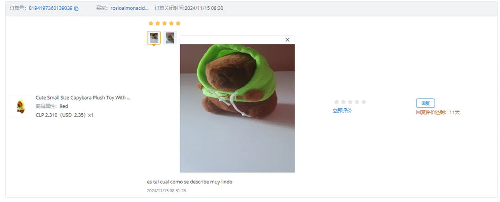 Lindo juguete de peluche de capibara de tamaño pequeño con alas Sudadera con capucha simulación muñeco de capibara juguete esponjoso regalos de cumpleaños