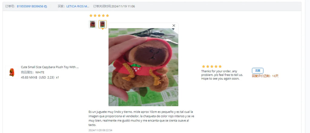 Lindo juguete de peluche de capibara de tamaño pequeño con alas Sudadera con capucha simulación muñeco de capibara juguete esponjoso regalos de cumpleaños